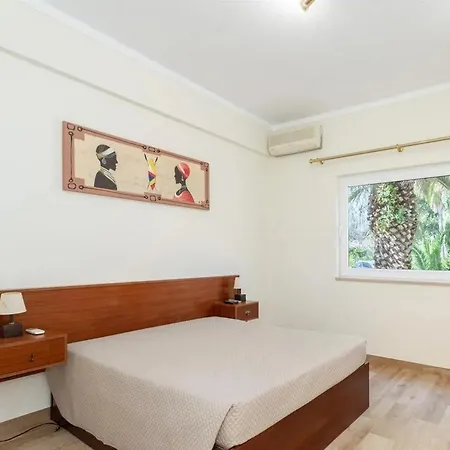 Casa Tradicional Com Bela Vista